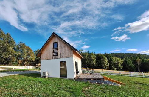 SierPlejs Hill - domki przy szlaku w Górach Sowich - Foto 31