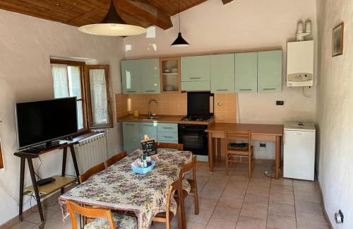 THE DORMOUSE - Il Ghiro - Foto 22