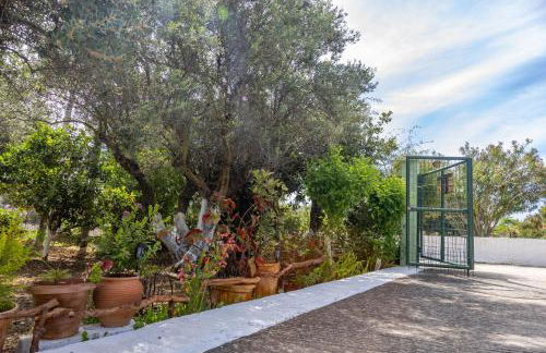 SEA & OLIVES HOUSE - Photo 32