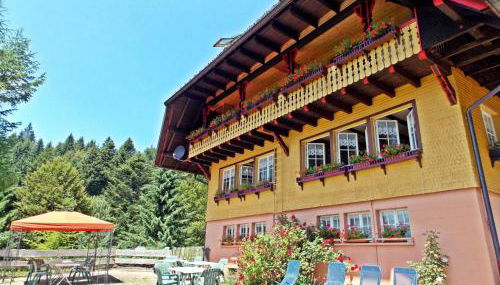 Ferienwohnung mit Talblick in Todtmoos - Foto 2