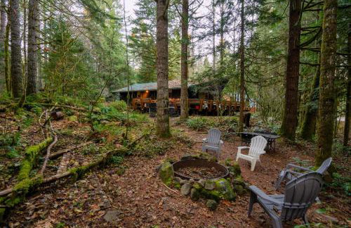 Mid-century Cabin Hideaway - Hot Tub & Fire Pit - Foto 4