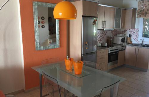 Magic Mola - Foto 12