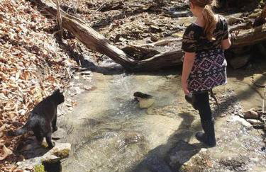 Red River Gorge Creekside, New*Spacious *2 baths! - Foto 4