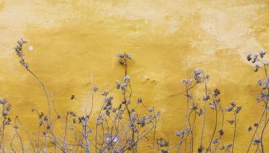 RIUS33 - Huge & Spacious Apartment in Montjuic - Photo 2