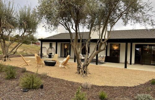 Olive and Stone - Foto 32