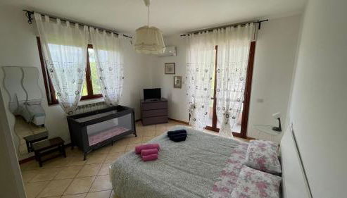 Cleo camelia - Foto 2