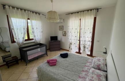 Cleo camelia - Foto 2