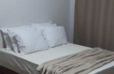 AP 22 hortência - Foto 13