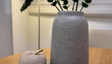 La Rectoral Arriondas 2 VV-2637-AS - Foto 2