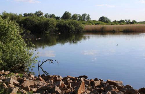 Dümmernest - Foto 20