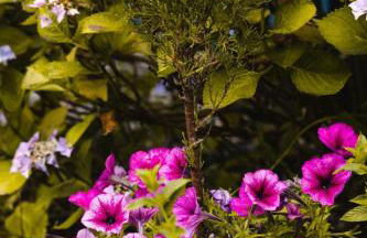 Beval Cottage - Foto 10