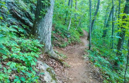 Bright Downtown Asheville Apt with Balcony, Walk Everywhere - Foto 22