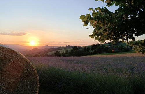 Agriturismo La Casetta - ospitalità rurale familiare - Foto 13