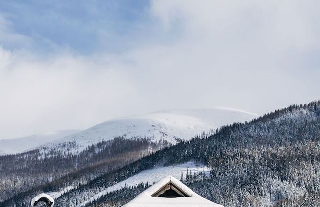 Slow Travel Resort Kirchleitn - OBERKIRCHLEITN - Photo 71