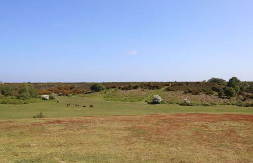 Woodlands House - Foto 64