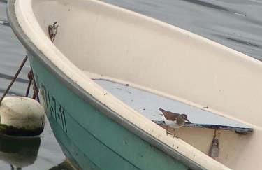 Chalet en enclave privilegiado - Foto 30