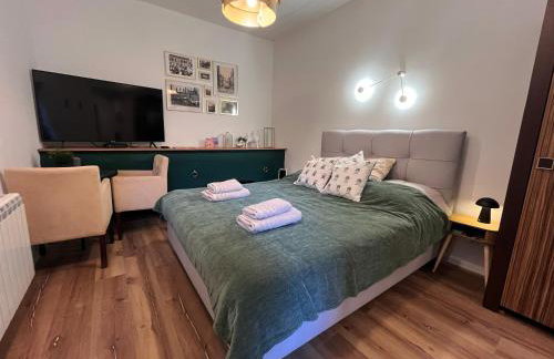 Apartamenty Swarzędz - Foto 1