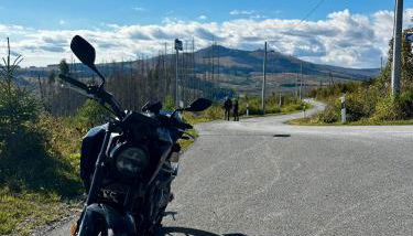 Waldgeflüster - Photo 2