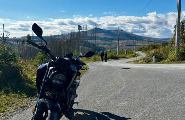 Waldgeflüster - Photo 2