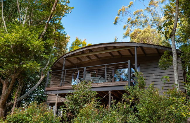 Whispering Valley Cottage Retreat - Photo 19