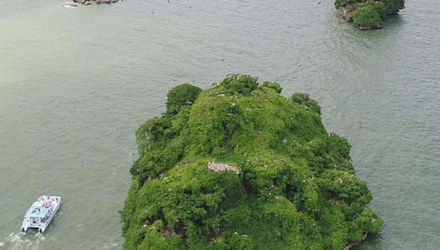 Lancha navegando pelo Caribe
