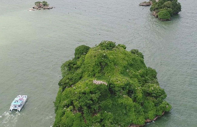 Excursão ao Parque Nacional Los Haitises - Foto 5