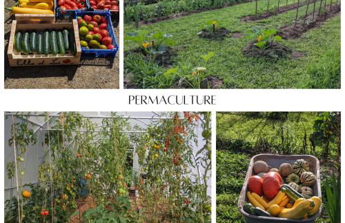 L'Angeberdière - Foto 29