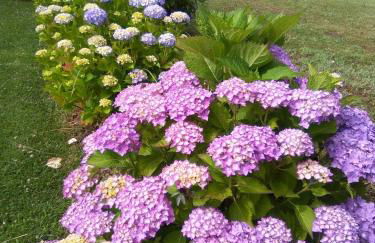 Agriturismo La Dependance - Foto 24