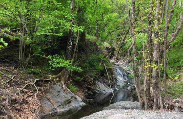 Maison spacieuse à Saint-André-de-Valborgne avec jardin 120 m² - Foto 28