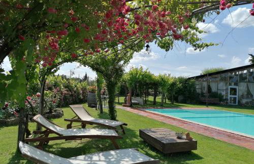 Podere Piandarca - Photo 50