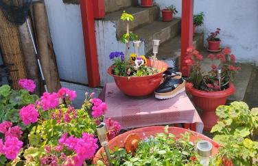 Apartments with parking space Grohote, Solta - 23166 - Foto 9