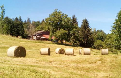 Escale Bussenette - Foto 13