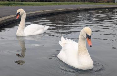 Largs seaside retreat - Foto 22