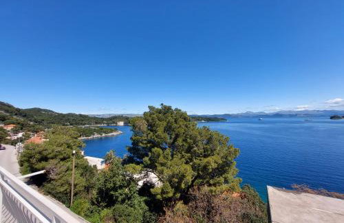 Apartmani Marija Mljet - Foto 25