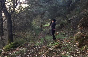 Casa Laureana - Foto 35