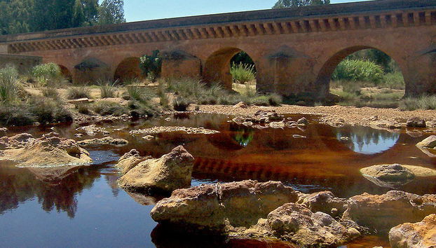 Visite de la Sierra d'Aracena - Photo 4