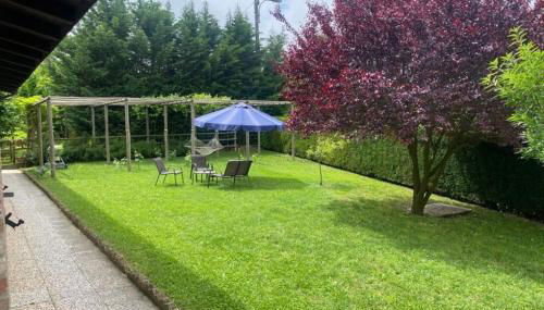 Langhe Apartment in Bottega di Rosanna - Foto 3, Garden