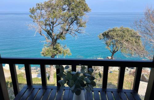 Siki House - Photo 19