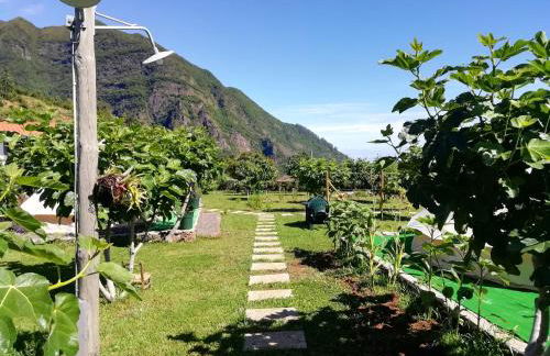 Granny's farm - Foto 28