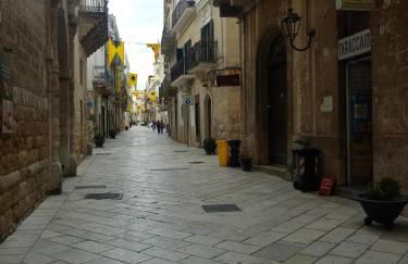 Le camelie - Foto 25