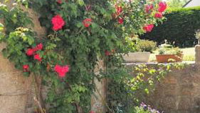 Le Rayon Vert - Gite 4 personnes à 400 m de la mer - Foto 5, Garden view