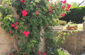 Le Rayon Vert - Gite 4 personnes à 400 m de la mer - Foto 5