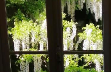 Romantic garden sea view Nervi - Foto 20