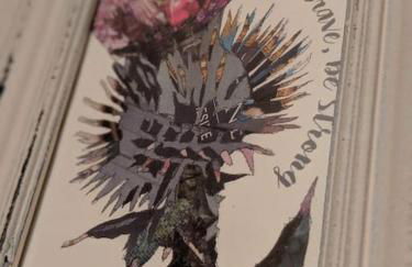 Rhanna, Mallaig - Foto 6