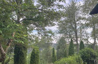 Landhaus-Villa auf dem Berg - Foto 50