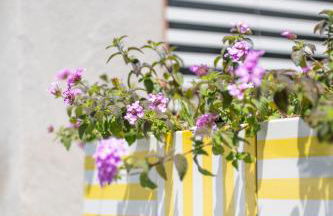 1912 Relais - Sorrento Coast - Foto 60