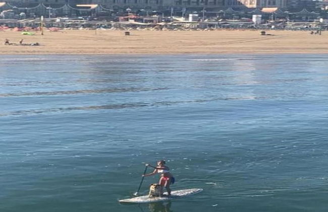 Luxury 3 Room Apartment in Scheveningen - Photo 78