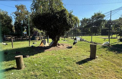 Chaleureuse annexe contemporaine - Foto 32