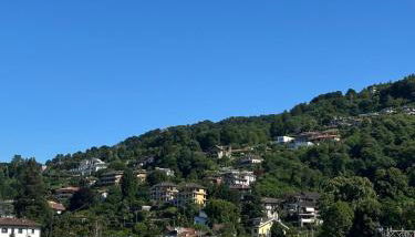 Fior&Iris Delux - Foto 4