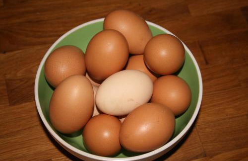 Gites Ferme de la Baie - Foto 70